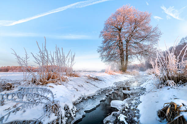 istock Beautiful winter morning over the river banks 2212721699