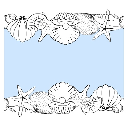 Sea Shell Bordered Design Seashell Frame Seamless Horizontal Border Template For Text Vector ...