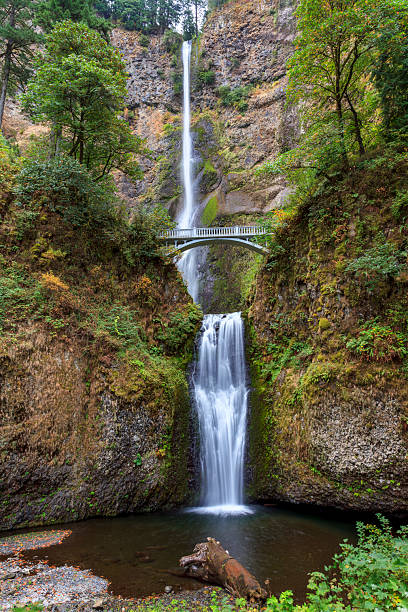 istock Multnomah Falls in the Columbia River Gorge, Oregon 2212726731