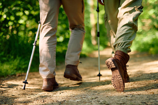 istock Hikers walking on a trail in a forest using trekking poles 2212731363