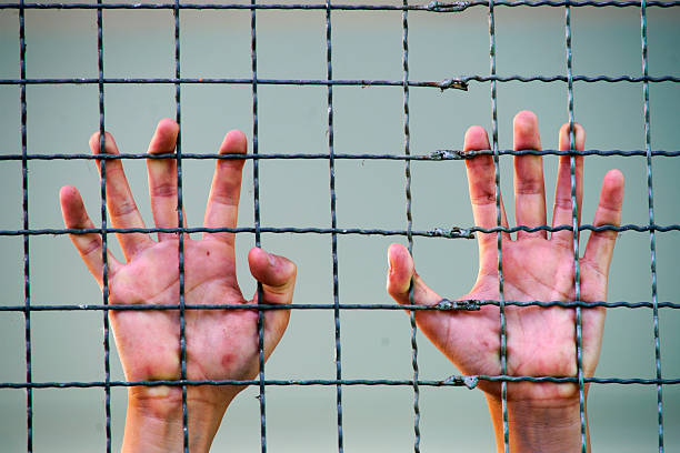 istock Human Hands Reaching Through Metal Fence in Soft Focus Background 2212731964