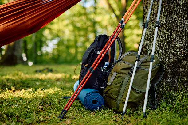 Hiking backpacks, trekking poles, a rolled-up sleeping mat, and a water bottle lie on the grass under a hammock, ready for a hike in nature