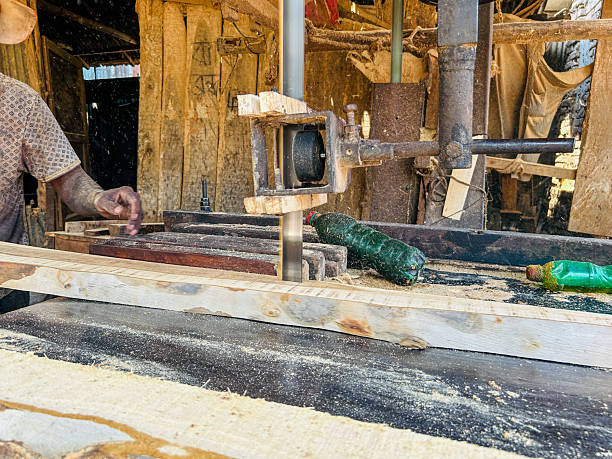 istock Vintage Sawmill Machines in Action: Skilled Craftsmanship 2212732782