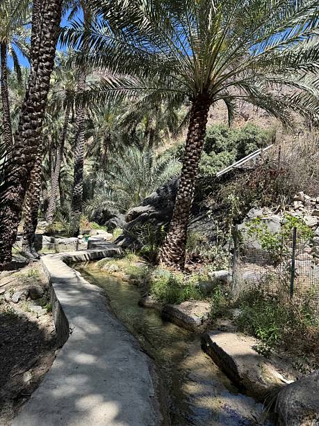 istock Hiking in Wakan 2212734008