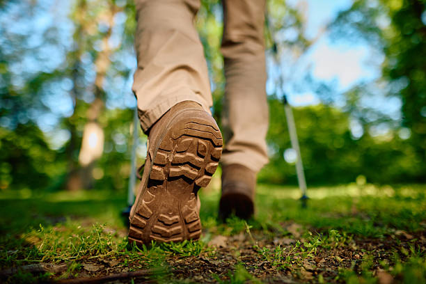 istock Hiker walking in the forest using trekking poles 2212739896