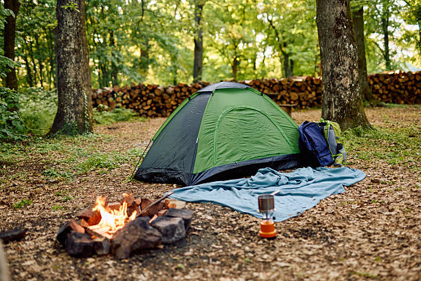 Green tent pitched beside a campfire crackling at a campsite nestled in the forest, with a cozy blanket spread on the ground and a backpack resting nearby, inviting relaxation