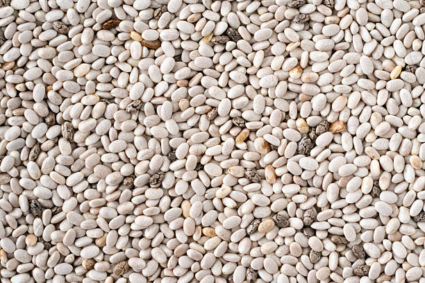 istock Close-up of white chia seeds 2212755308