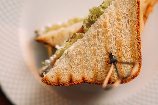 Grilled Triangular Sandwiches with Salmon and Cream Cheese.