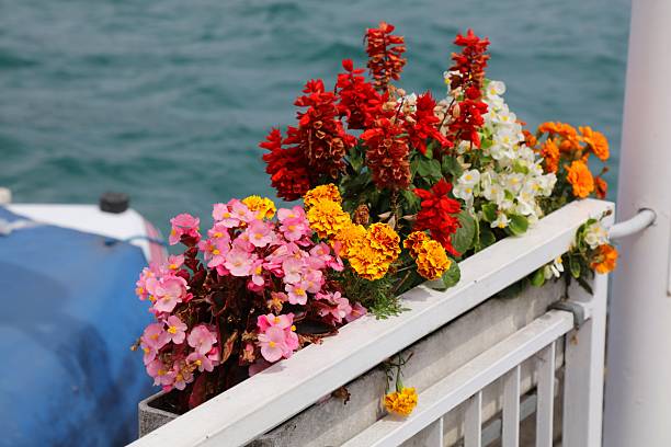 Apartment balcony detail, multi colored flower pots. A Coruña, Galicia, Spain.