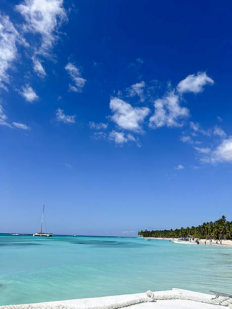istock Beautiful beach in Punta Cana. 2212762481