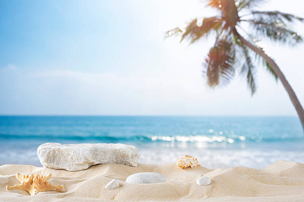 istock Sea shells and stone podium on beautiful blurred tropical summer sand beach background 2212762665