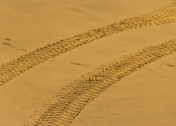 Pneumatic brands on a beach clean vehicle beach