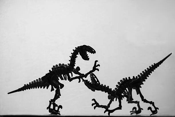 istock Monochrome fighting Velociraptors model silhouette 16479 2212770402