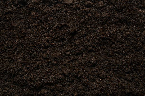 istock Black land for plant background. 2212770504