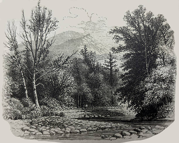 Antique illustration pre 1900 - river with a rocky bank in mountains with trees