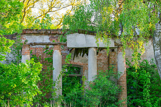 The ruins of an overgrown brick structure with columns, surrounded by lush vegetation. Fragments of the roof and walls are visible, indicating a former monumental structure, now abandoned and consumed by nature