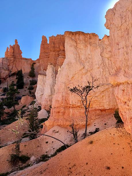 istock Sandstone hoodoos and canyon, Utah 2212777873