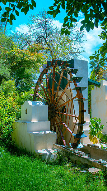 An old wooden waterwheel, surrounded by lush greenery, reflects traditional hydraulic ingenuity in the heart of a peaceful garden in Fez.