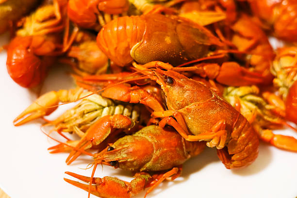 A vibrant collection of freshly cooked crawfish rests on a white plate showcasing their rich color and readiness for enjoyment.