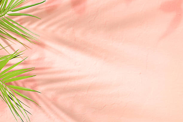 istock Minimal abstract background for cosmetic products presentation,Premium empty podium with shadows on sunny elegant background,template for design,screen banner,podium on pedestal, 2212784789