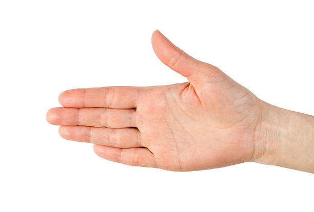 istock Female hand isolated on white background. Front view. Close-up. 2212785289