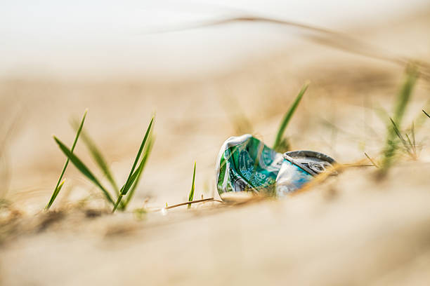 Crumpled soda can lying in grassy sandy area.