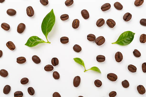 istock Roasted coffee beans with leaves on white background,top view 2212793644
