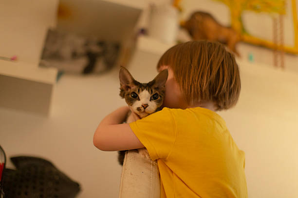 In a cozy domestic environment, a child lovingly embraces a soft cat, surrounded by a variety of backgrounds