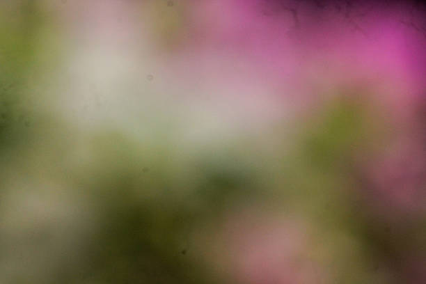 blur abstract nature background. Blurred natural green abstract background. Blur natural bokeh background. Green bokeh on nature abstract blur background. Blur.