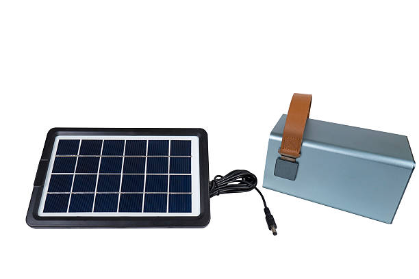 Portable solar panel connected to a power bank