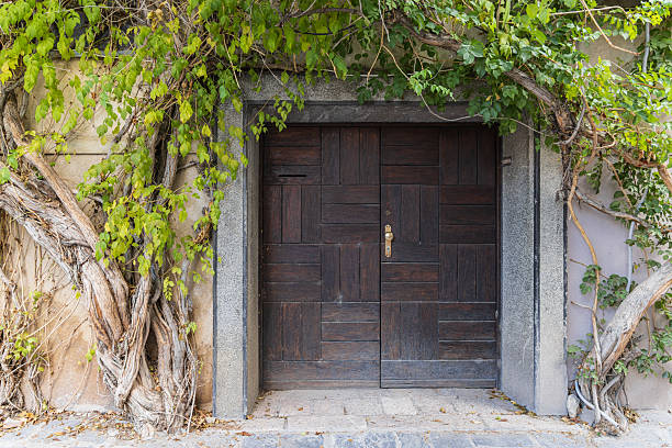 istock Ivy growing over a wooden door. 2212801825