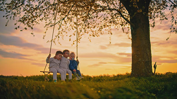 istock Three Young Brothers Enjoying a Swing at Sunset under a Tree 2212804183