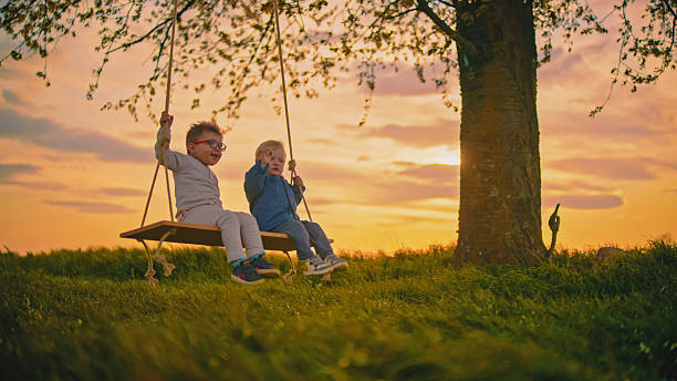 istock Two Happy Children Swinging on a Cherry Tree Swing at Sunset 2212804192
