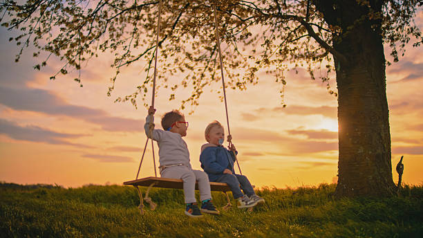istock Two Happy Children Swinging on a Cherry Tree Swing at Sunset 2212804195