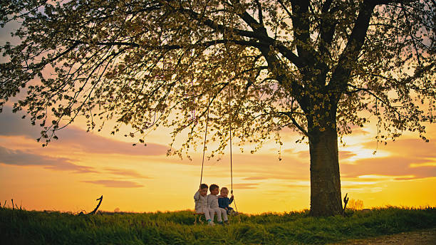 Three children enjoy a sunny day outdoors swinging on a tire swing under a large tree.