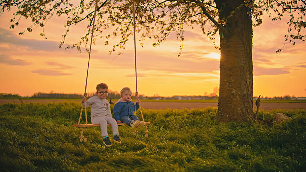 istock Two Happy Children Swinging on a Cherry Tree Swing at Sunset in a Field 2212804212