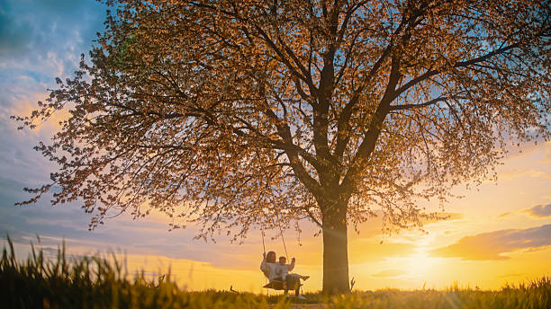 istock Mother and Child Enjoying a Swing under a Blossoming Cherry Tree at Sunset 2212804217