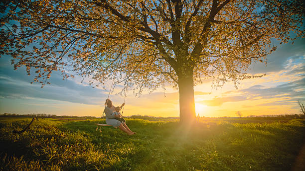 istock Mother and Child Enjoying a Swing under a Blossoming Cherry Tree at Sunset 2212804231