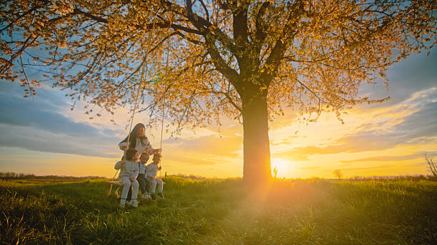 istock Mother Pushing Children on Swing under Blossoming Cherry Tree at Sunset 2212804250