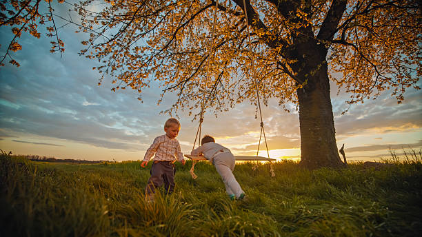 Two Brothers Enjoying Playful Moments on a Swing Hanging from a Blooming Cherry Tree at Sunset,Embracing the Beauty of Nature and the Joy of Childhood Together