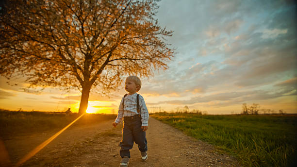 Toddler Walking Along a Dirt Road Near a Cherry Tree at Sunset,Basking in the Warm Golden Hour Light. Embracing the Beauty of the Countryside,Enjoying a Moment of Carefree Joy and Exploration