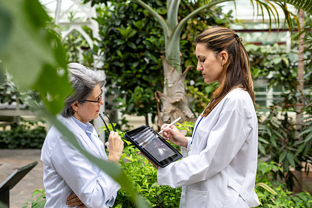 istock Agricultural engineers analyzing data on digital tablet in greenhouse 2212806577
