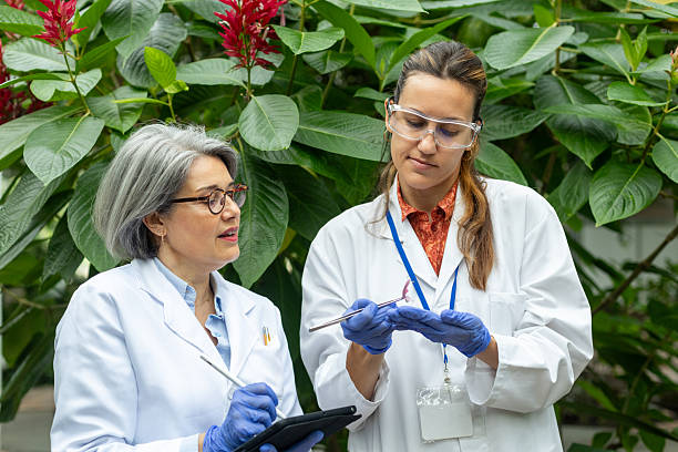 istock Scientists examining plant sample in botanical garden research 2212806621