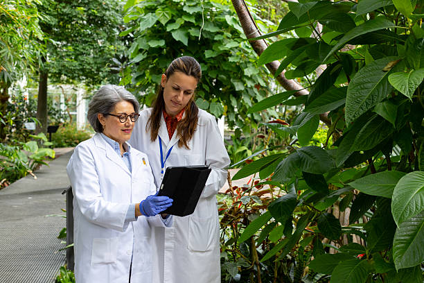 istock Scientists examining tropical plants with digital tablet in botanical garden 2212806628