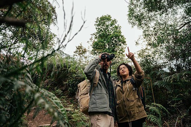 istock Young couple hiking in the forest and watching birds through binoculars 2212808254