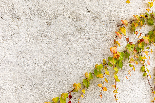 Beige textured background accented with autumn colored ivy leaves.