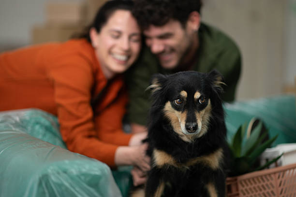 istock Happy couple moving into new home with their dog 2212811399