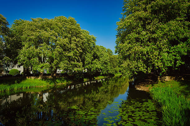 Landscape reflected in water. Abstract nature background.