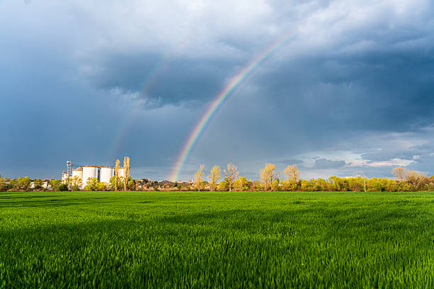 beautiful colorful landscape with a rainbow over the trees, a small village view