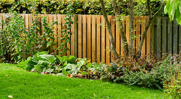 istock Lush garden with trees and wooden fencing featuring dynamic greenery 2212813822